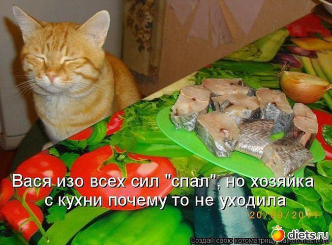 7 ����: ��������