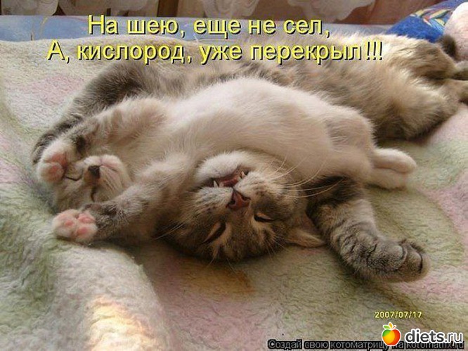 12 фото: животные