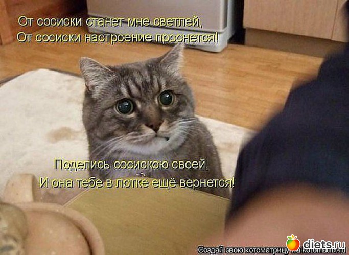 13 фото: животные