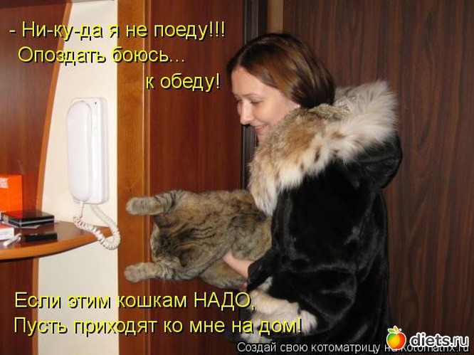 14 ����: ��������