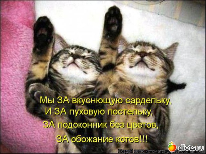 15 ����: ��������