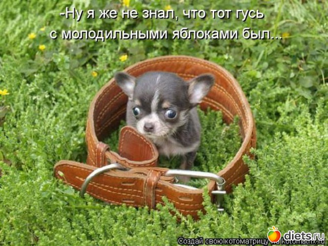 16 ����: ��������