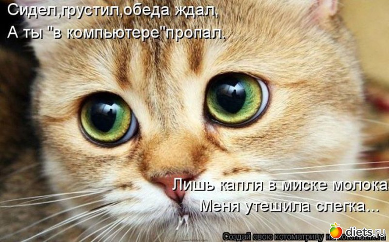 17 ����: ��������