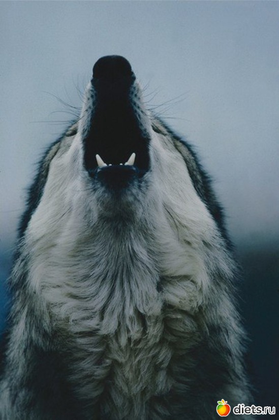 76 ����: ����� 1