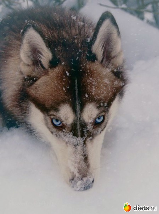 77 ����: ����� 1