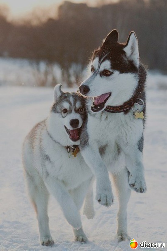 78 ����: ����� 1