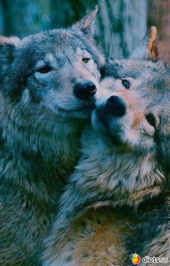 79 ����: ����� 1