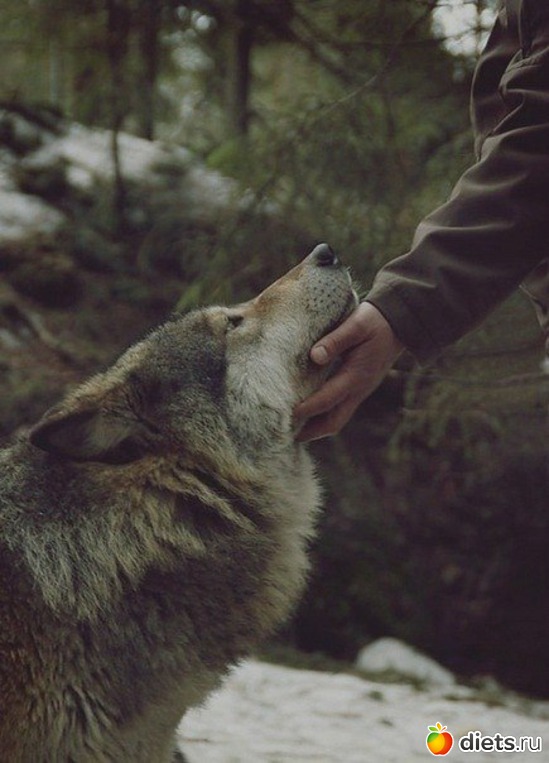 80 ����: ����� 1