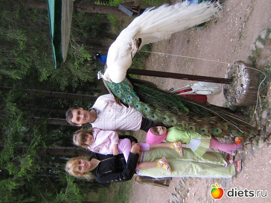 27 фото: 2010 год