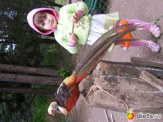 28 фото: 2010 год