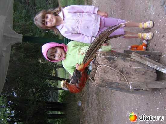 29 фото: 2010 год