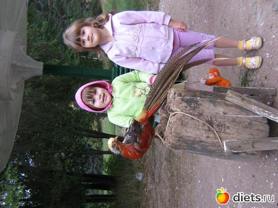 30 фото: 2010 год