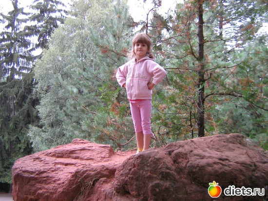 33 фото: 2010 год