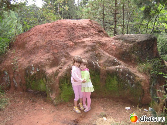 37 фото: 2010 год