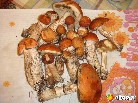 ����� � ������, ������: �����, ��������.