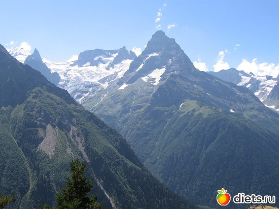 40 фото: 2010 год