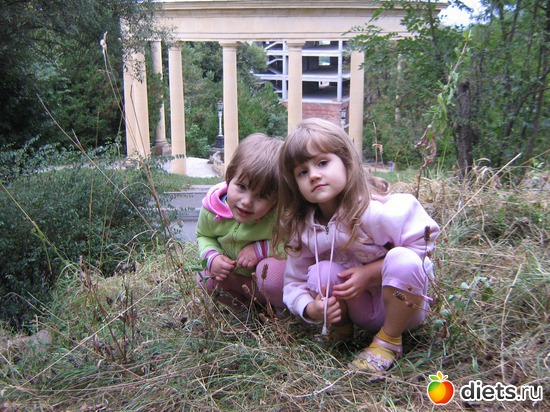 42 фото: 2010 год