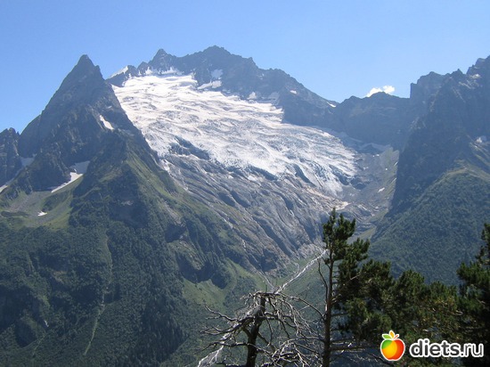 62 фото: 2010 год