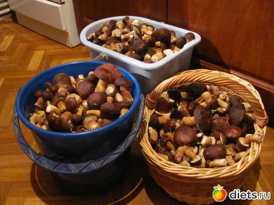 Наш улов, альбом: Первый опыт