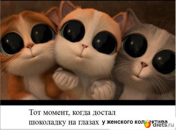 203 ����: ���������