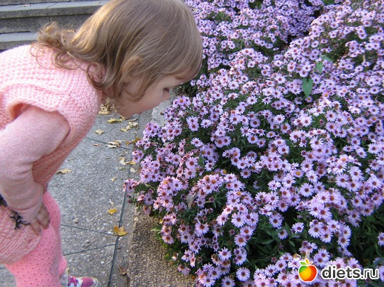 1 фото: 2009 год