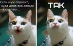 После покупки новых кружевных трусов желание сдохнуть немного затихает