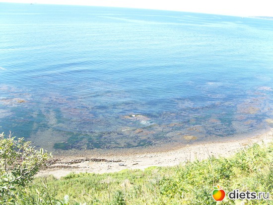 2 ����: ������� ��������