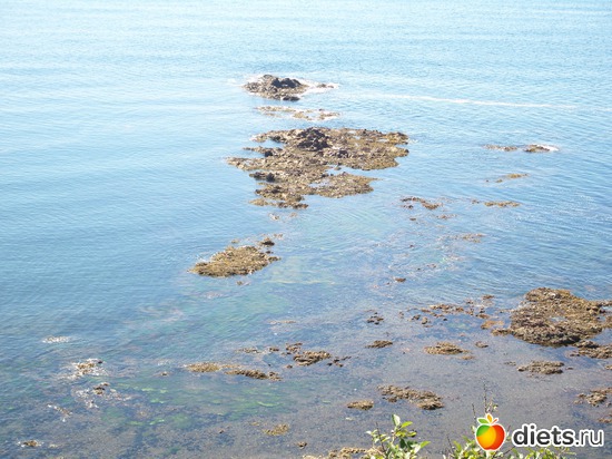 3 ����: ������� ��������