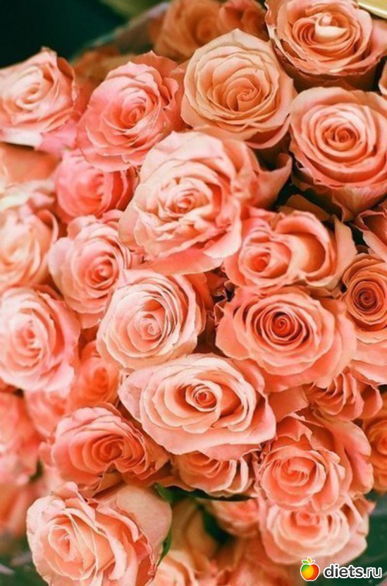 92 ����: ����� 1