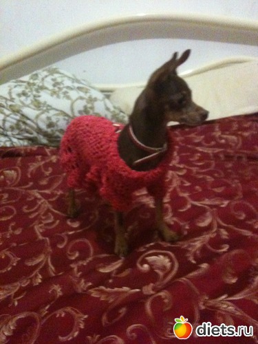 ��� �������, ������: �