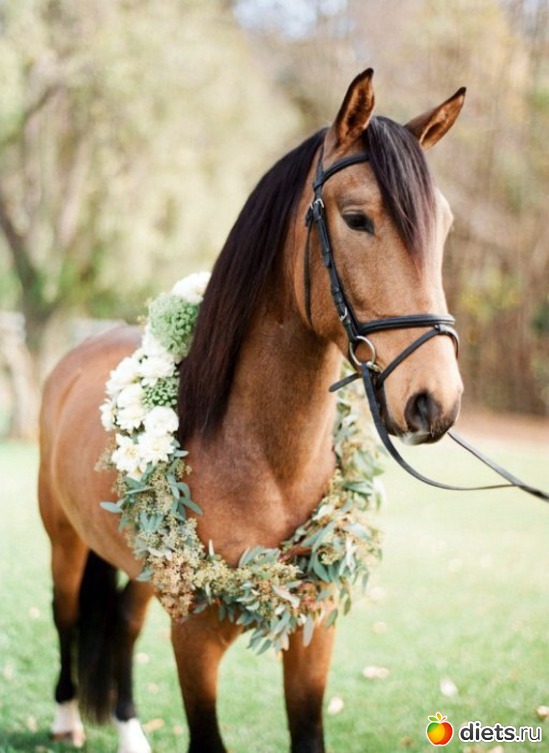 96 ����: ����� 1