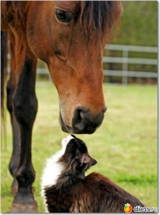 97 ����: ����� 1