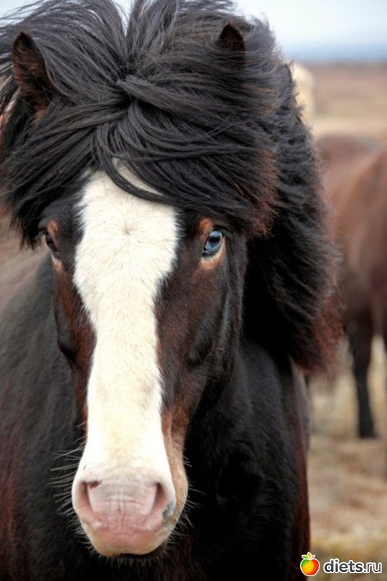 98 ����: ����� 1