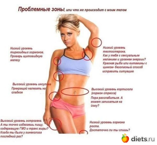 2 ����: ��������, ��������