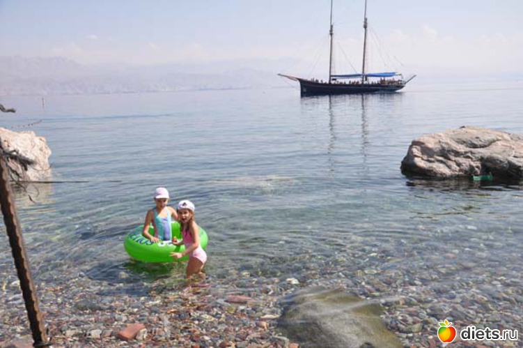 1 ����: ����� 2012