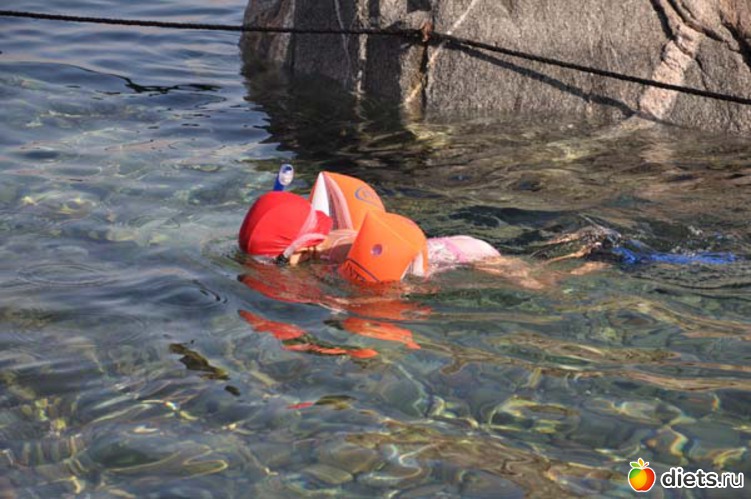 4 ����: ����� 2012