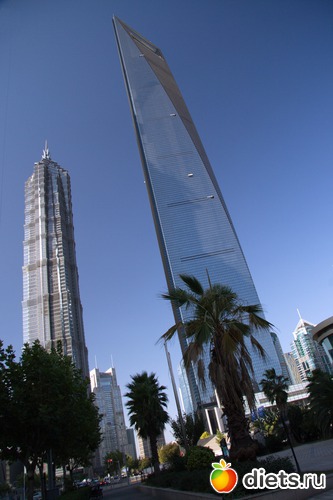 230 фото: Shanghai