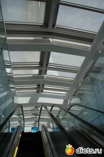 217 фото: Shanghai