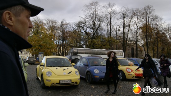 6 ����: �������� �� �����-����������