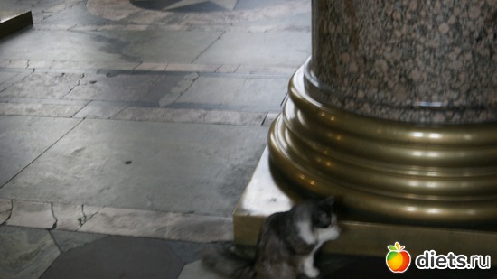 9 ����: �������� �� �����-����������