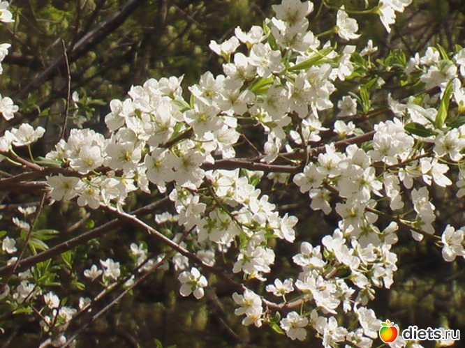 11 фото: Про меня)))