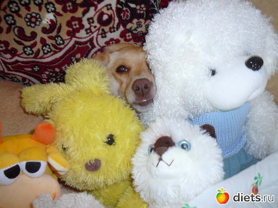 ����� � ��������, ������: ��� ������ ����