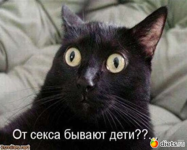 1 ����: ��2