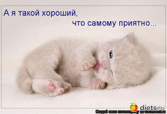 3 ����: ��2