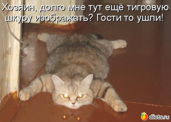 4 ����: ��2