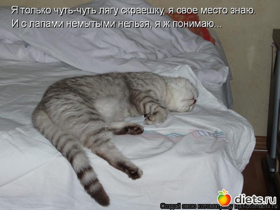 11 ����: ��2