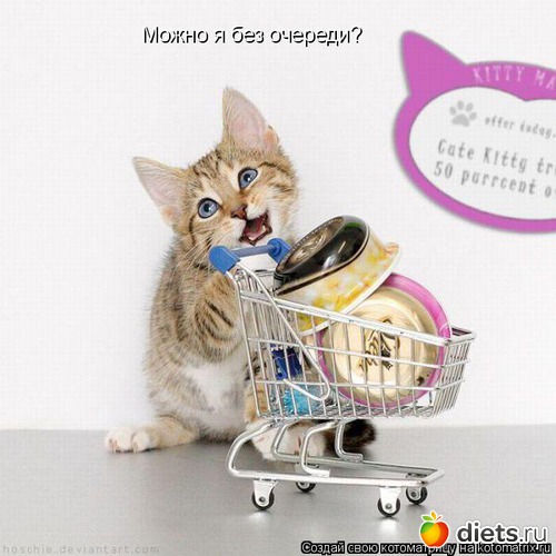 12 ����: ��2