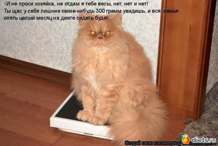 15 ����: ��2