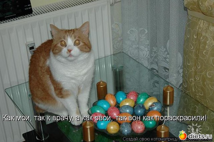 17 ����: ��2