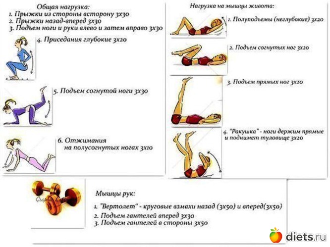 219 ����: ���������
